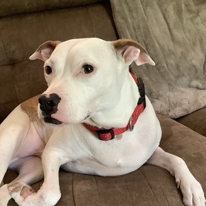 Fundraising Page: Theresa Brown